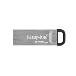 Memory drive flash usb3.2-256gb dtkn-256gb kingston