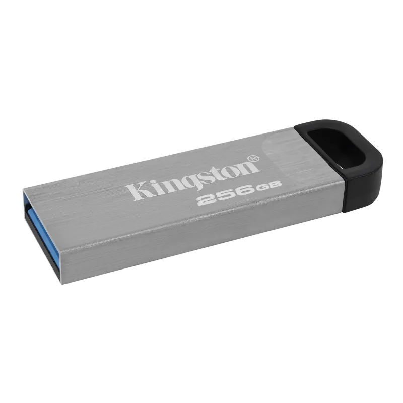 Memory drive flash usb3.2-256gb dtkn-256gb kingston
