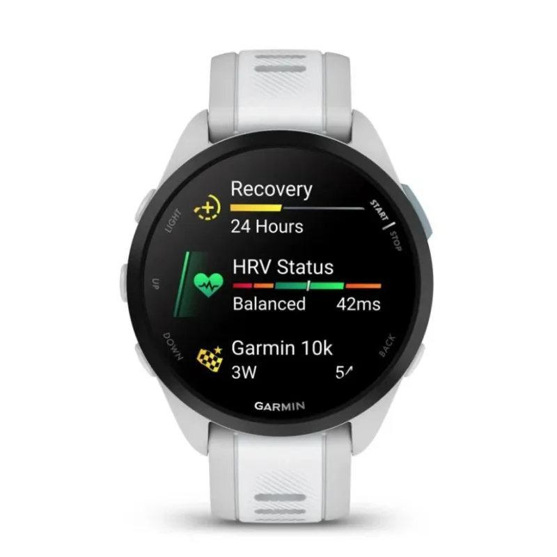 Smartwatch forerunner 165-mist grey 010-02863-21 garmin