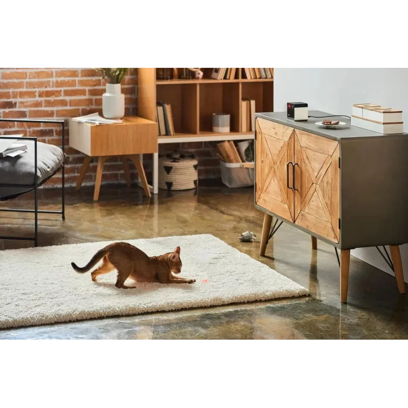 Wrl camera play 2-pp20us petcube