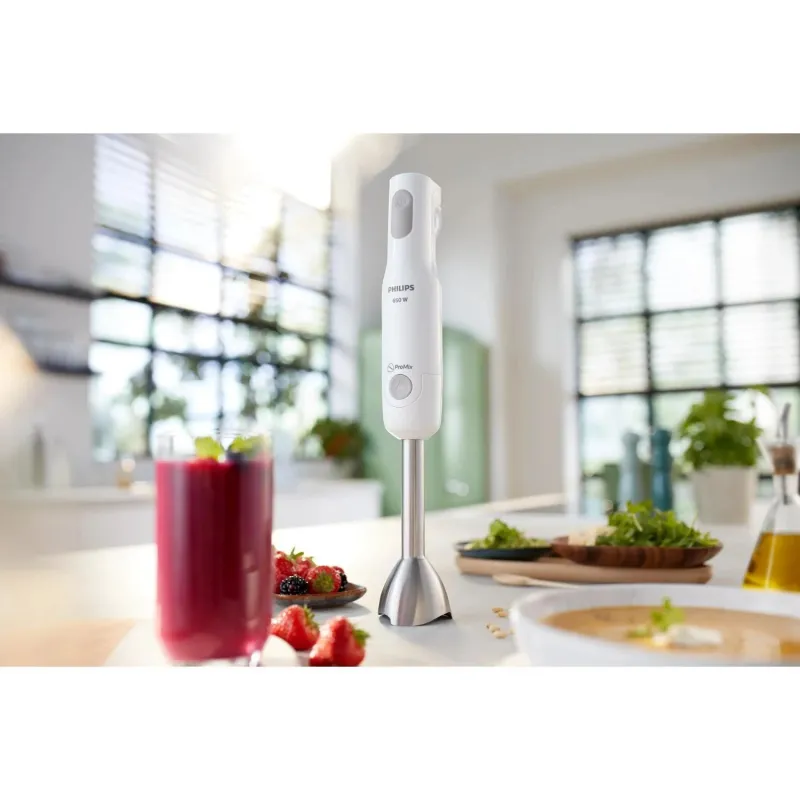 Blender-hr2534-00 philips