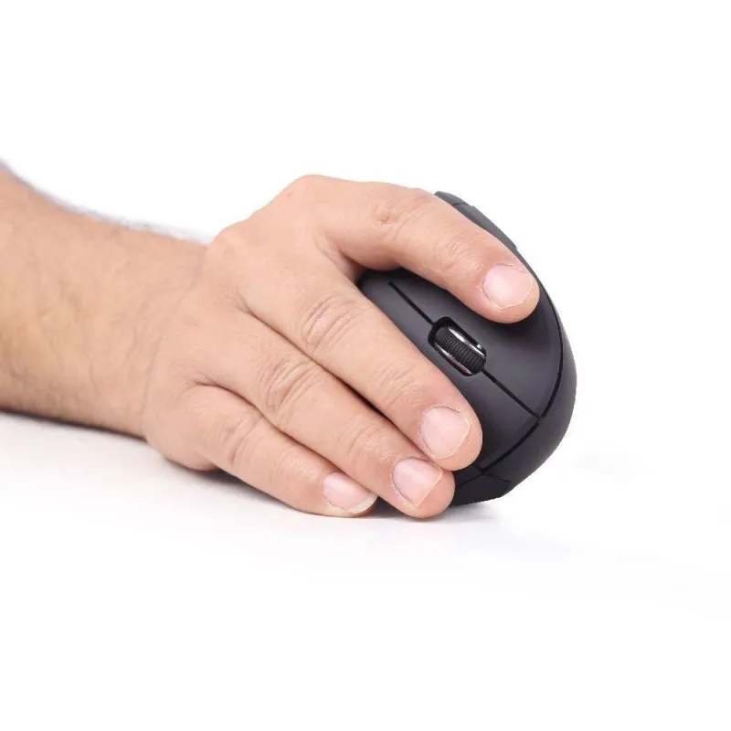Gembird - MUSW-ERGO-01 - 2.4GHz Wireless Optical Mouse - Optical Mouse - USB - Black