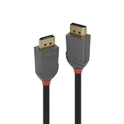 Cable display port 1m-anthra 36481 lindy