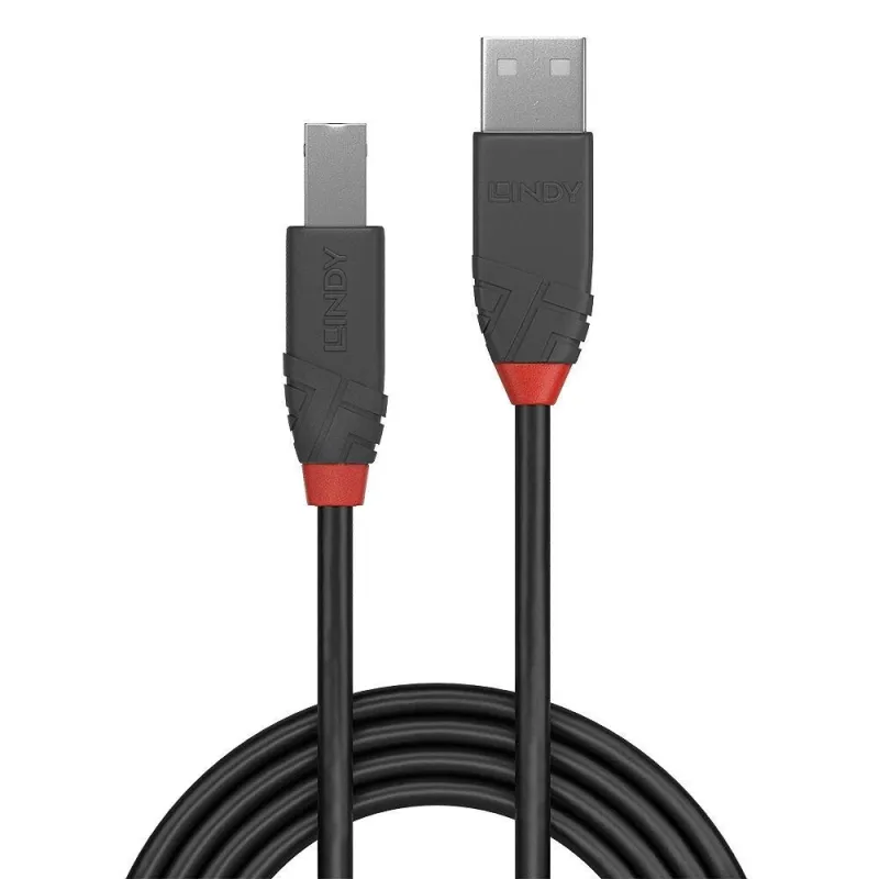 Cable usb2 a-b 2m-anthra 36673 lindy