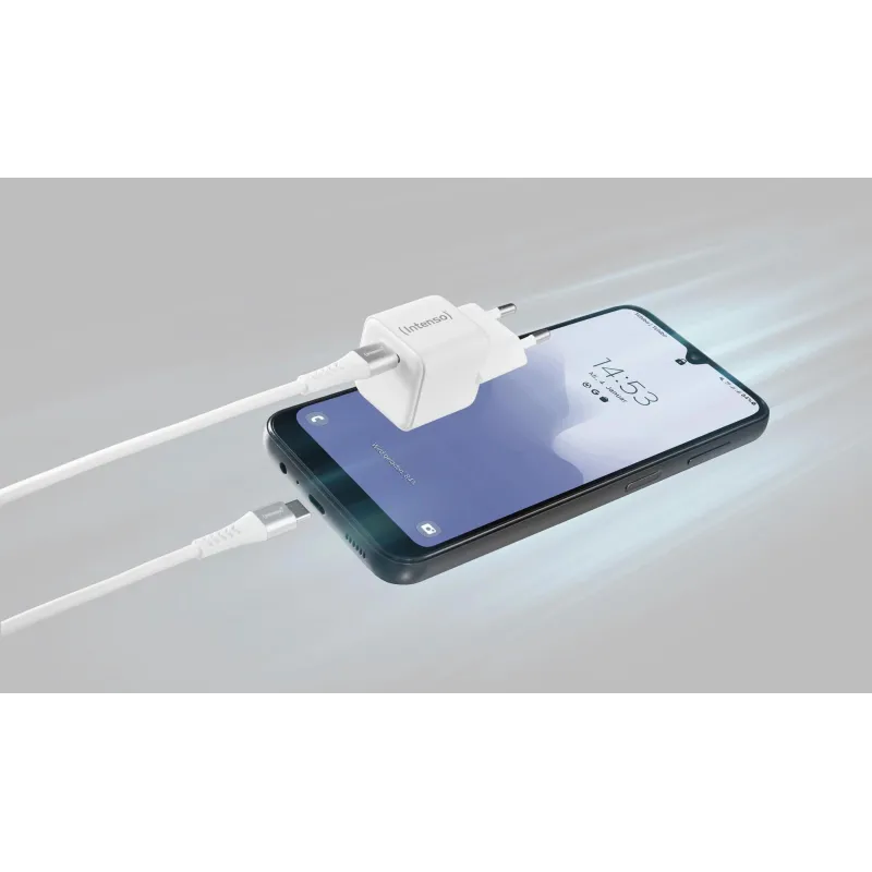 Power adapter usb-c-7803042 intenso