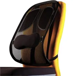 Chair mesh back support-professional 8029901 fellowes