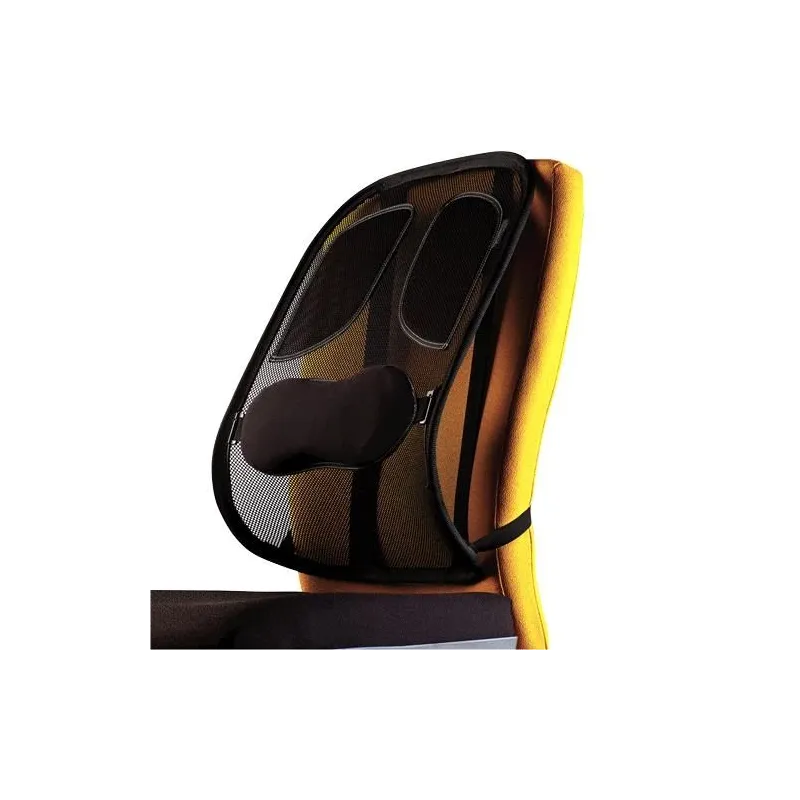 Chair mesh back support-professional 8029901 fellowes