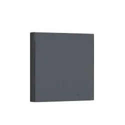 Smart home wrl switch-double ws-euk04 grey aqara