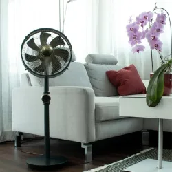 Fan standing uranus-cop001101 stylies
