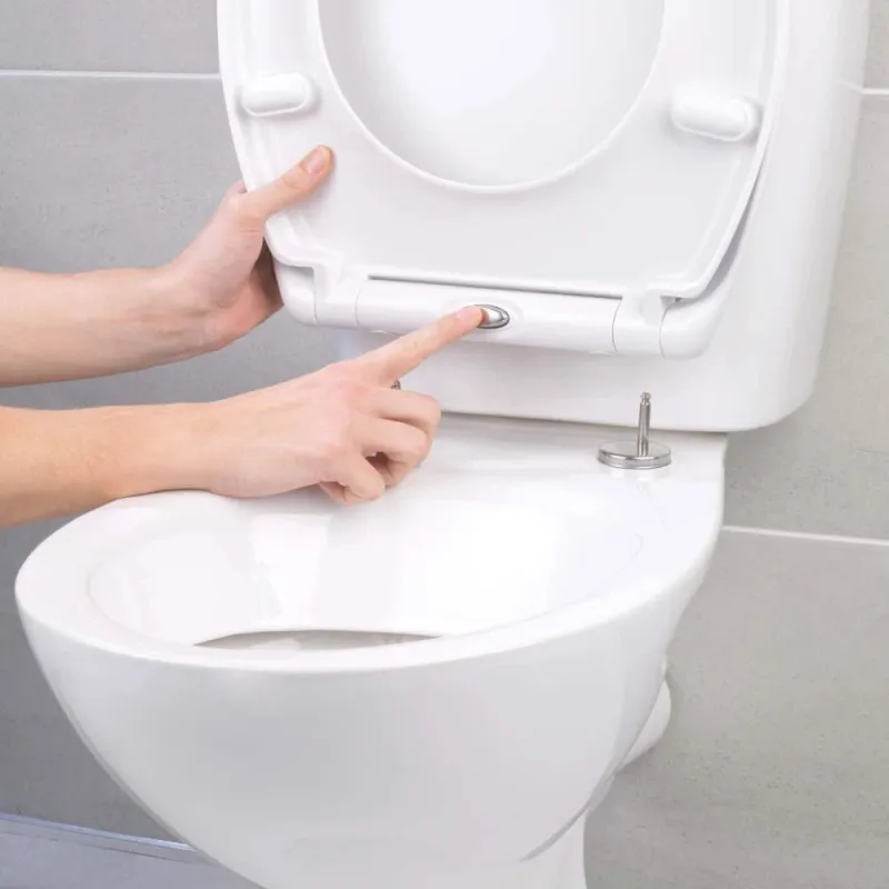 Beldray LA037062PEU7 Anti-bac Quick-release Toilet Seat, White