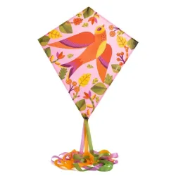 Gaisa pūķis Djeco. 70 cm x 60 cm. daudzkrāsaina