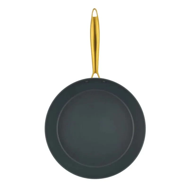 Salter BW14599 Aerotech Professional 28cm Fry Pan