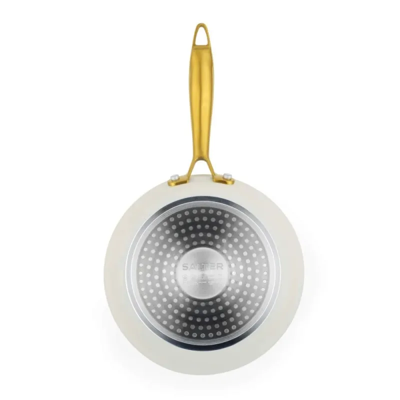 Salter BW14597 Aerotech Professional 20cm Fry Pan