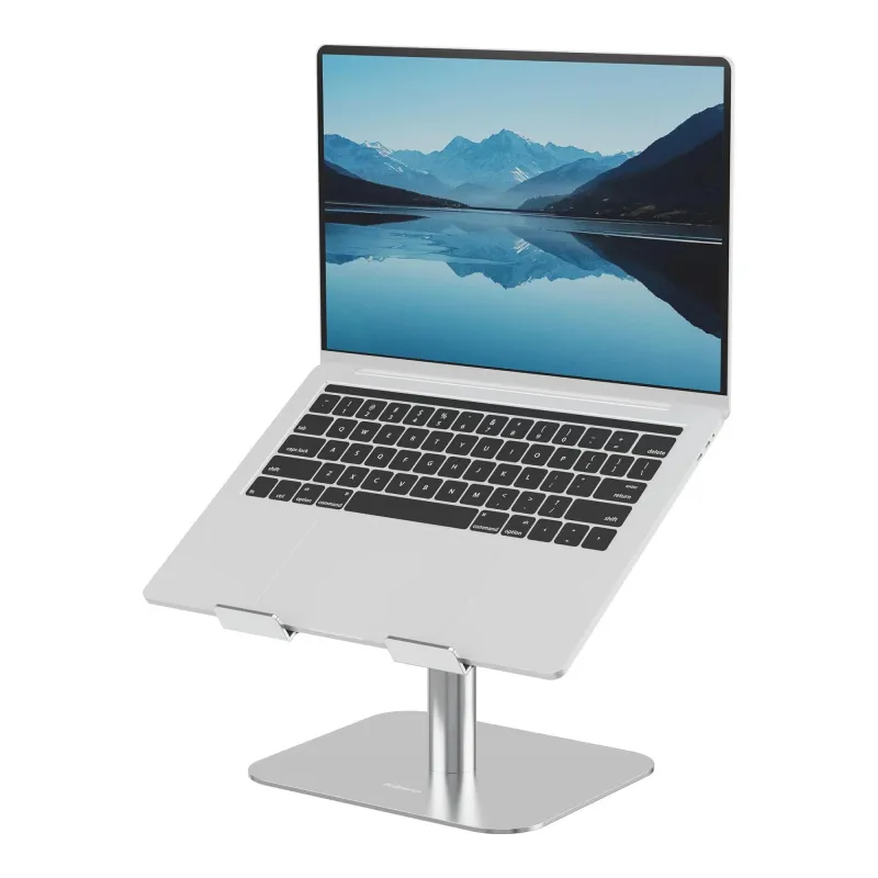 Nb acc desk stand-silver 100138880 fellowes