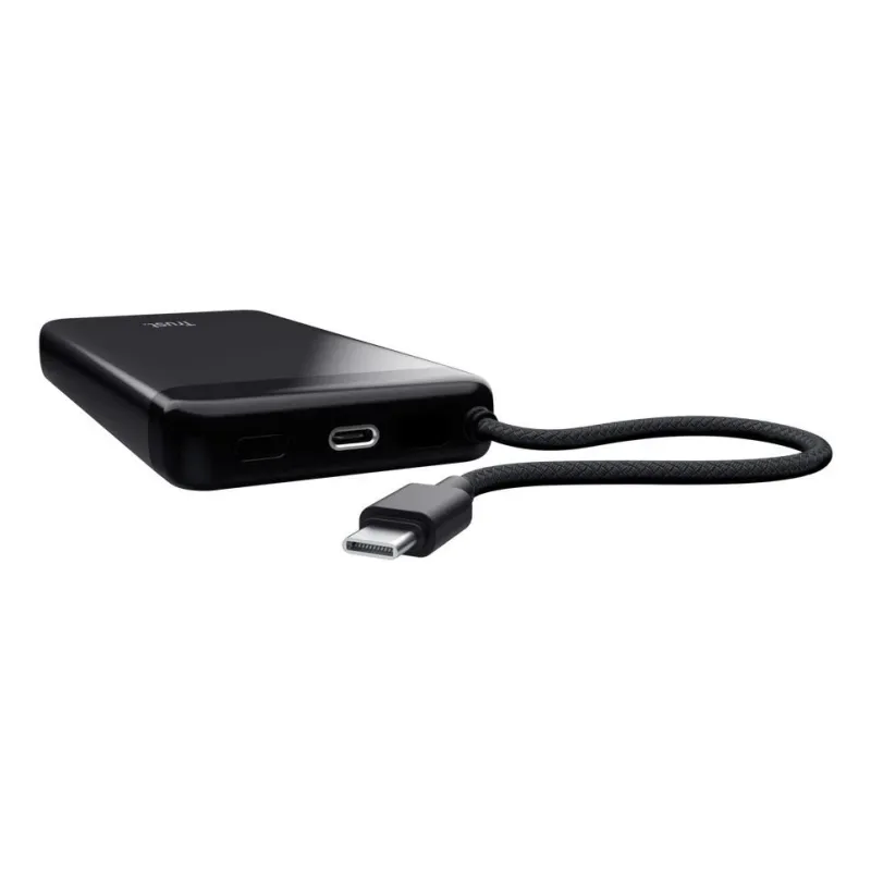 Power bank usb 20000mah-fiera 25881 trust