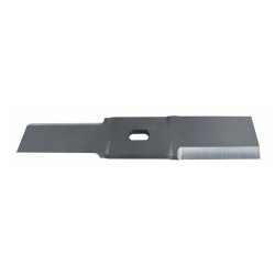 Rezerves asmens Rapid