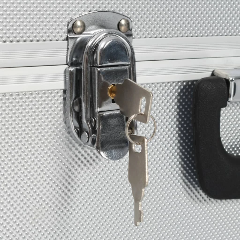 vidaXL instrumentu koferis, 38x22,5x34 cm, sudraba krāsā, alumīnijs