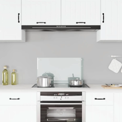 vidaXL virtuves panelis, 70x40 cm, rūdīts stikls, caurspīdīgs