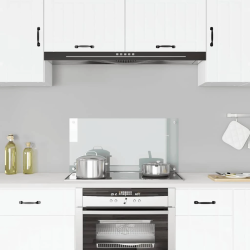 vidaXL virtuves panelis, 80x40 cm, rūdīts stikls, caurspīdīgs