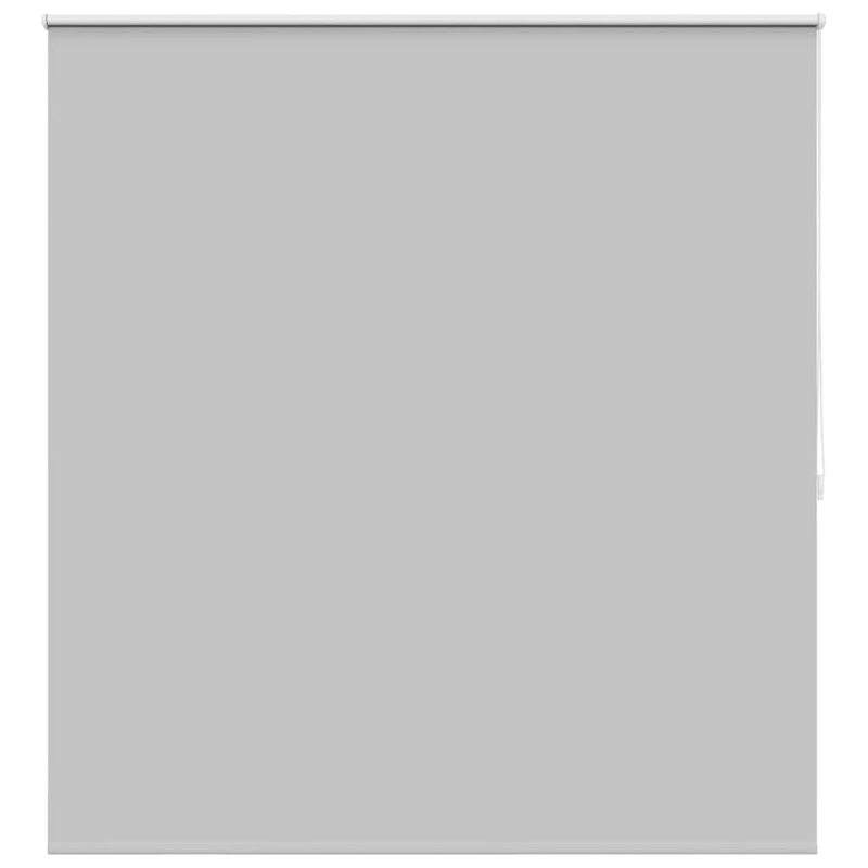 vidaXL Aptumšojošas ruļļu žalūzijas, 160 x 175 cm, pelēkas