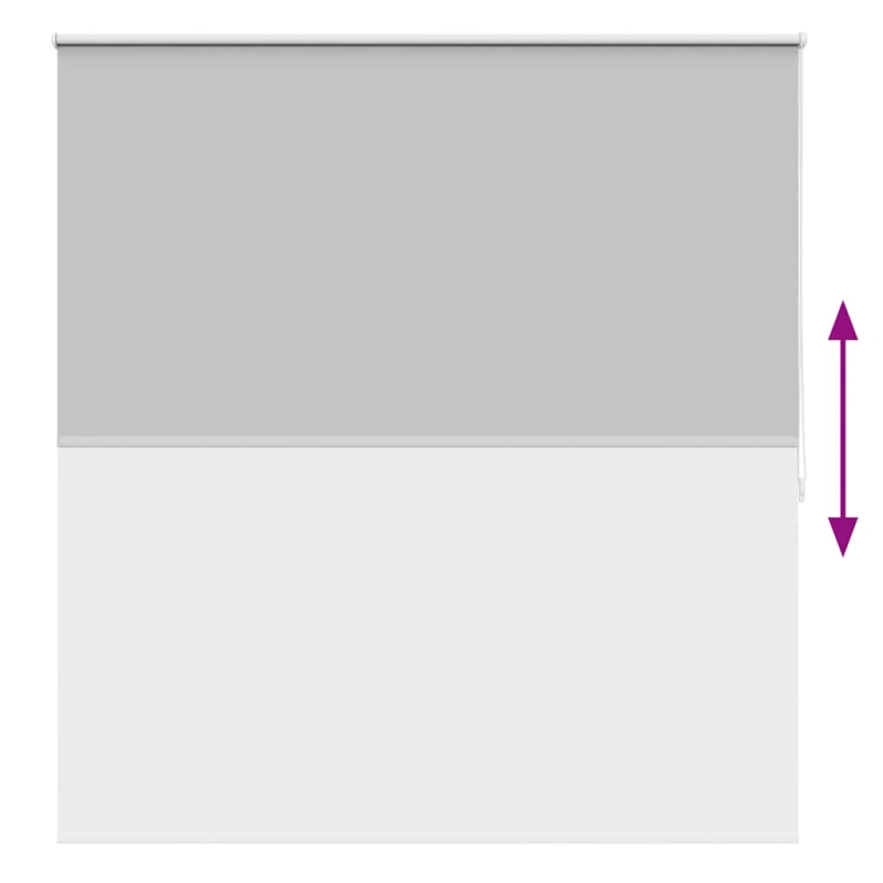 vidaXL Aptumšojošas ruļļu žalūzijas, 160 x 175 cm, pelēkas