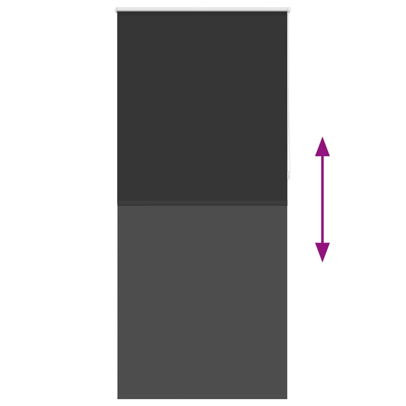 vidaXL Ruļļu Žalūzijas 100 x 230 cm Melnas