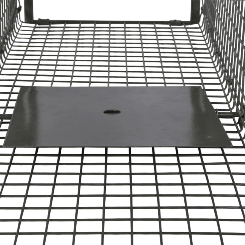 vidaXL dzīvķeramais slazds, 2 durvis