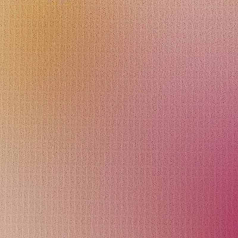 vidaXL istabas aizslietnis, 217x170 cm, saliekams, ziedu apdruka