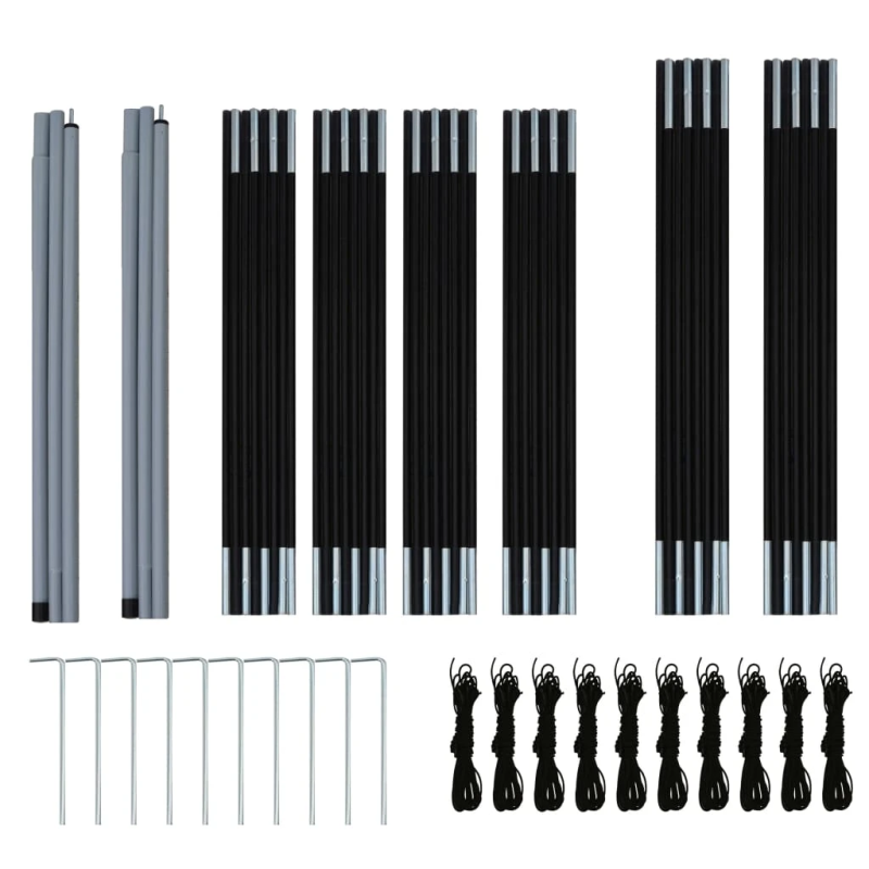 vidaXL deviņvietīga telts, zila un zaļa