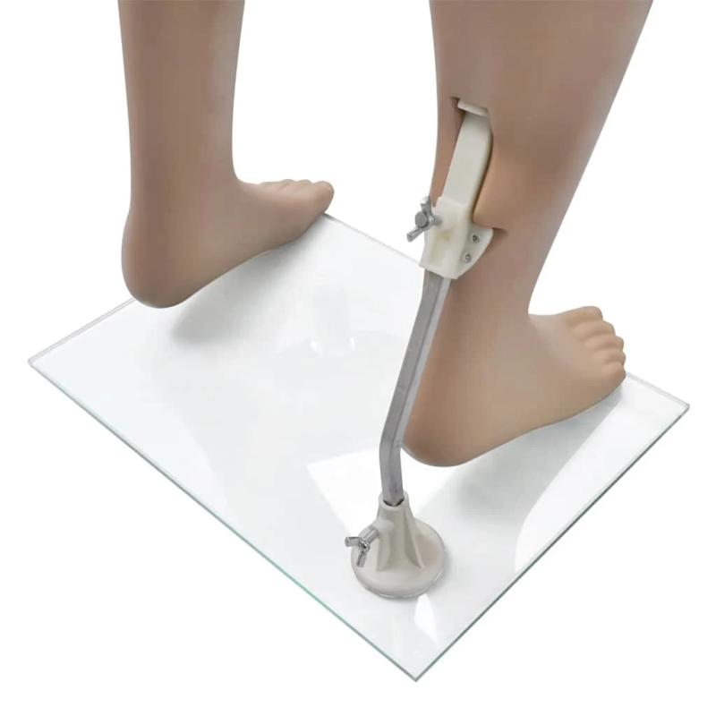 vidaXL vīriešu manekens bez galvas