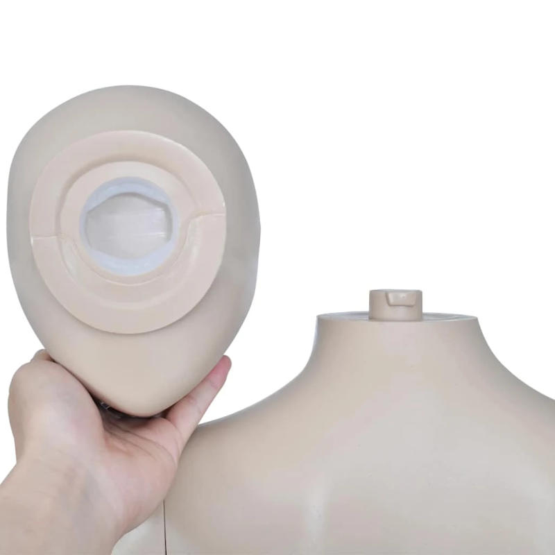 vidaXL sieviešu manekens, apaļa galva