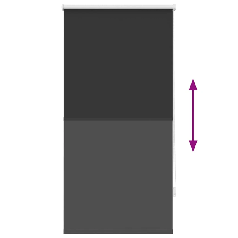 vidaXL Aptumšojošās Ruļļu Žalūzijas 60 x 120 cm Melnas