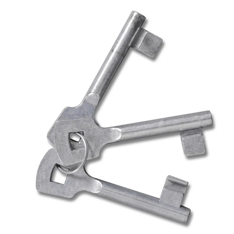 vidaXL dārza sieta vārti, durvju sienas reste, 300x200 cm