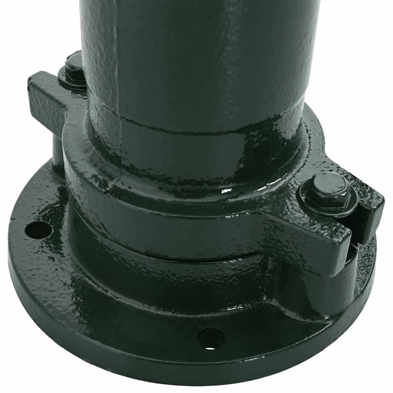 vidaXL dārza rokas ūdens sūknis, čuguns