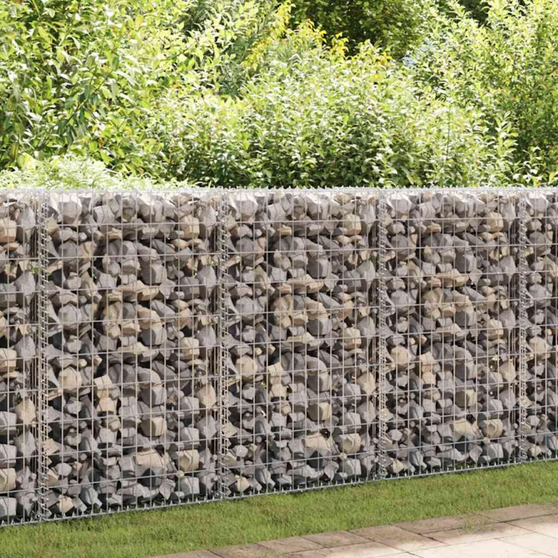 vidaXL gabions ar vāku, cinkota stieple, 100x50x30 cm