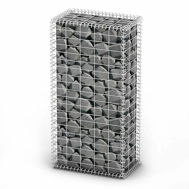 vidaXL gabions ar vāku, cinkota stieple, 100x50x30 cm