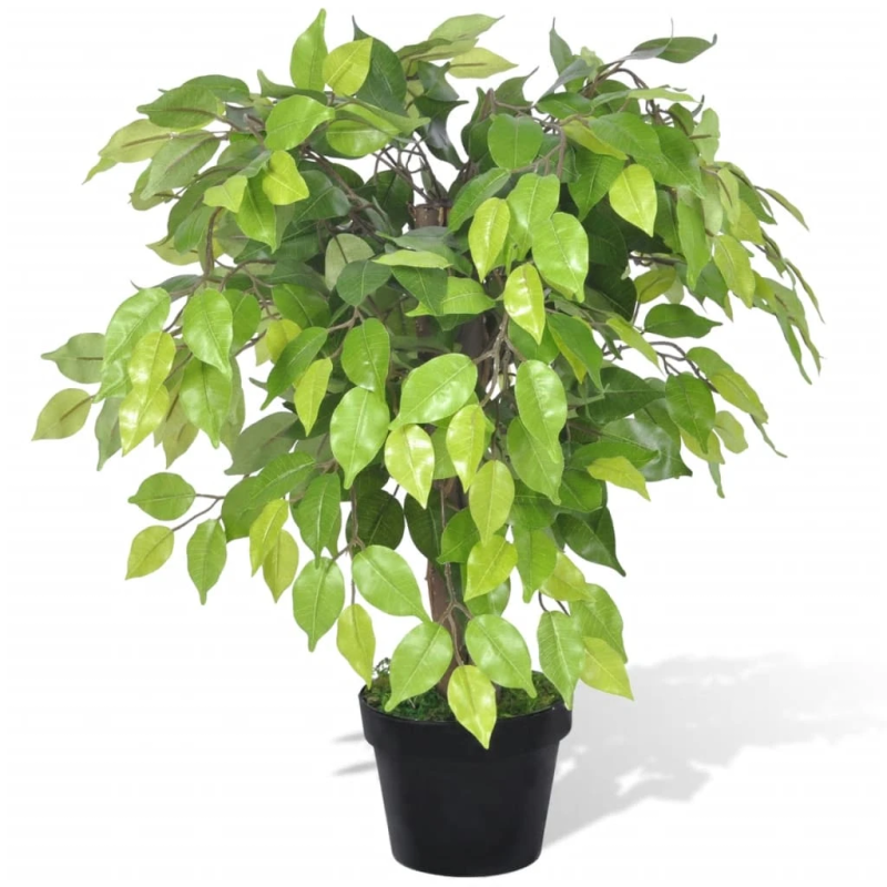 Mākslīgais Dwarf ficus augs ar podu, 60 cm