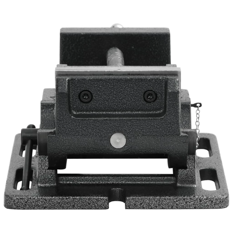 vidaXL ar roku darbināmas skrūvspīles, paceļamas, 110 mm