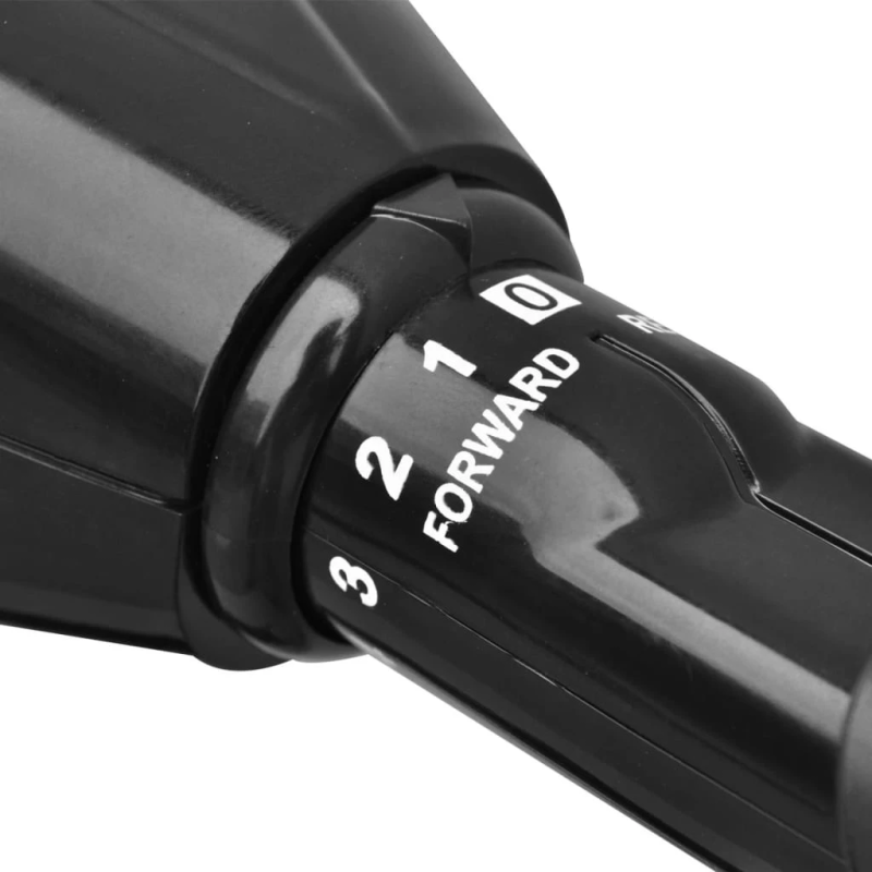 vidaXL laivas elektromotors, P25, 55 mārciņas