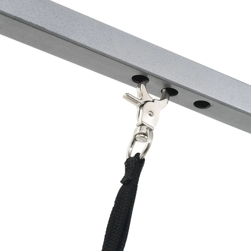 Mājdzīvnieku Galds Grūmingam-Kopšanai ar Ritentiņiem