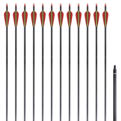 Standarta Oglekļa Bultas 12 gab 30" 0,76 cm