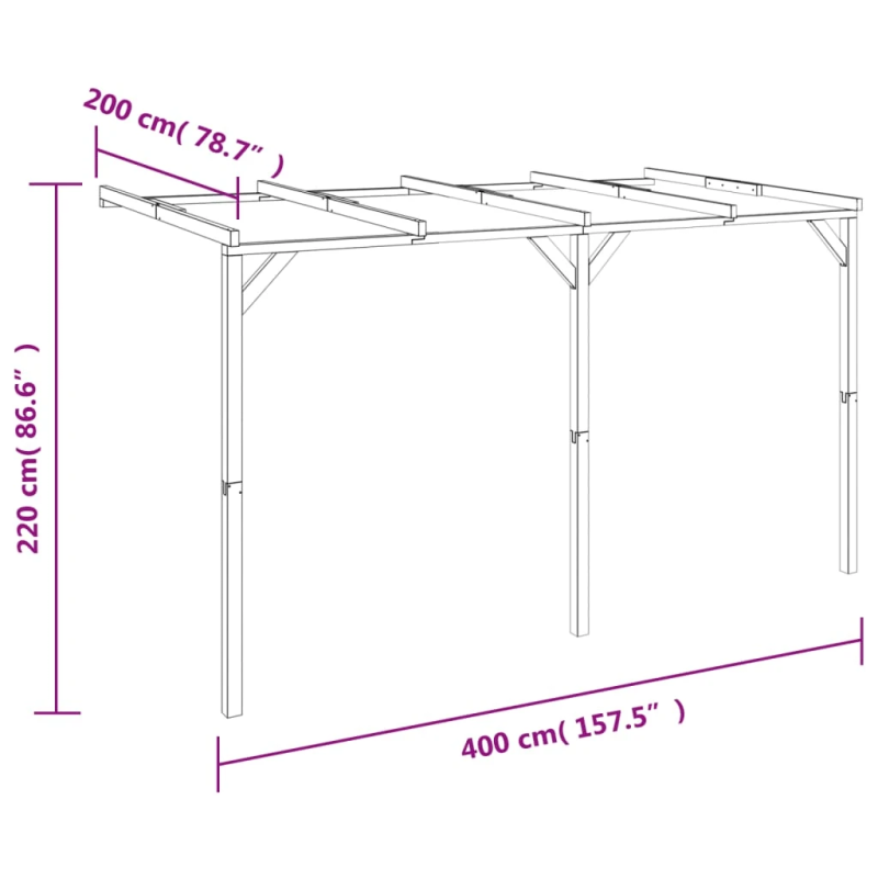 vidaXL pergola vīteņaugiem, 2x4x2,2 m, koks