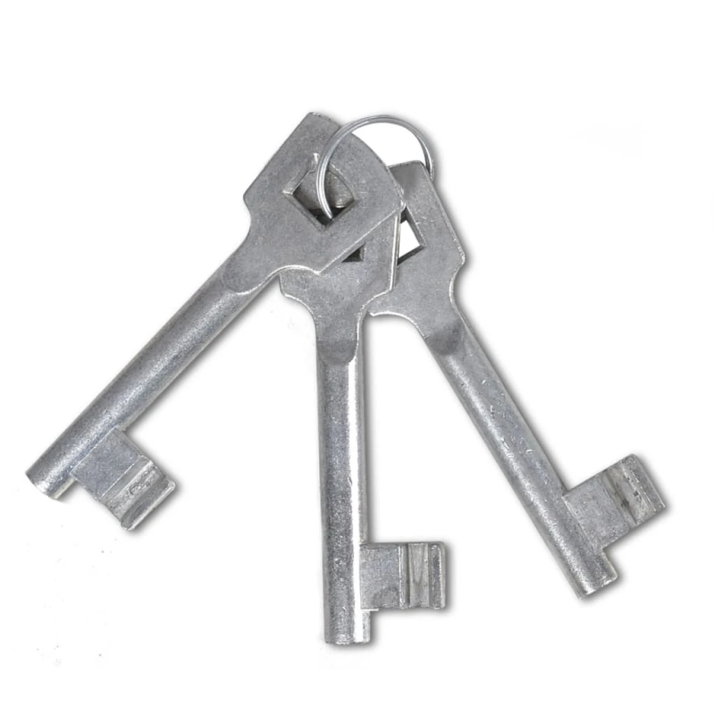 vidaXL vienviru žoga vārti, 100x100 cm, pulverkrāsots tērauds