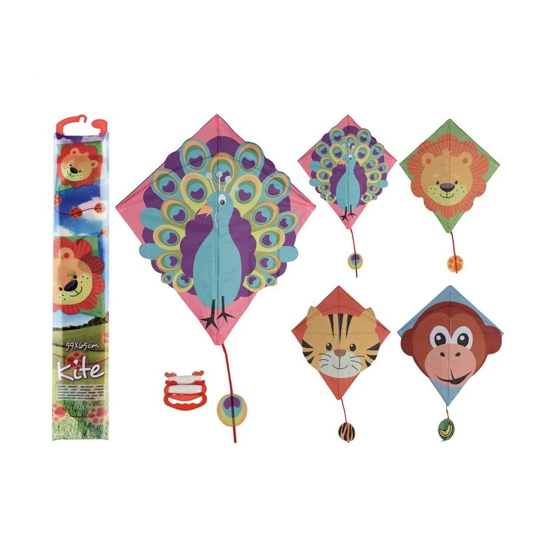 Gaisa pūķis 64x65cm