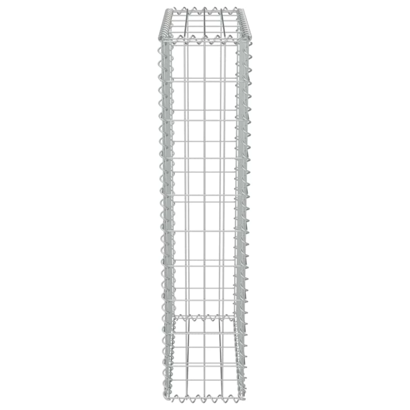 vidaXL gabions ar vāku, cinkots tērauds, 50x20x100 cm