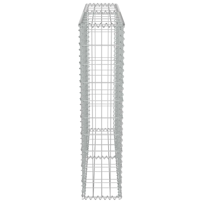 vidaXL gabions ar vāku, cinkots tērauds, 100x20x100 cm
