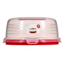 Cake container with lid