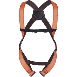 Drošības sistēma 1 cilpa aizmugurē