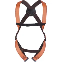 Safety System with 1 Loop at the Back