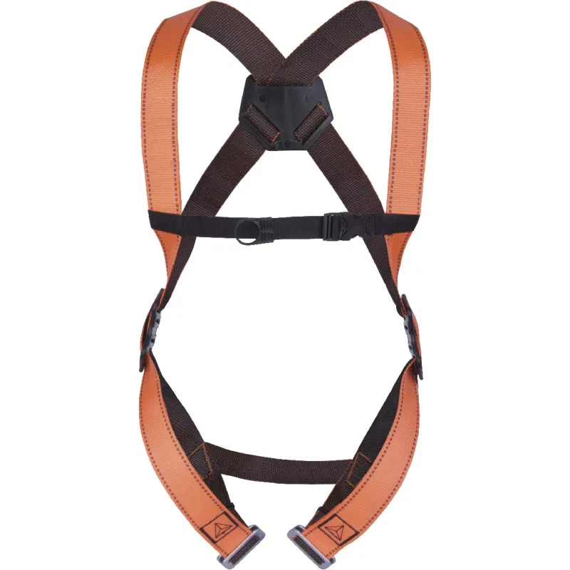 Drošības sistēma 1 cilpa aizmugurē